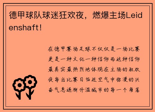 德甲球队球迷狂欢夜，燃爆主场Leidenshaft！